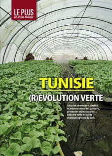  Tunisia : 
(R) Evolution verte